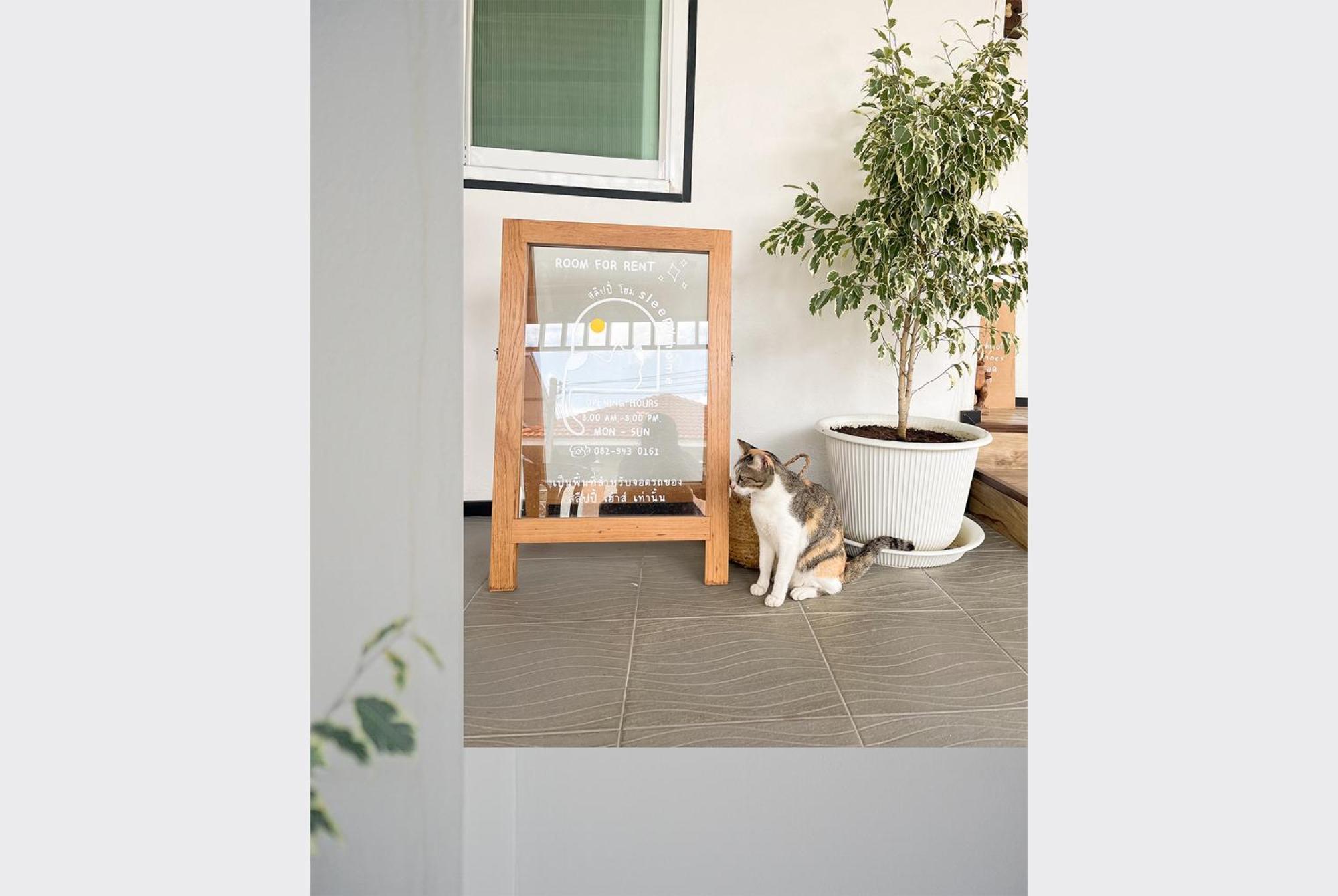 Sleepy House Bed & Breakfast 3*
