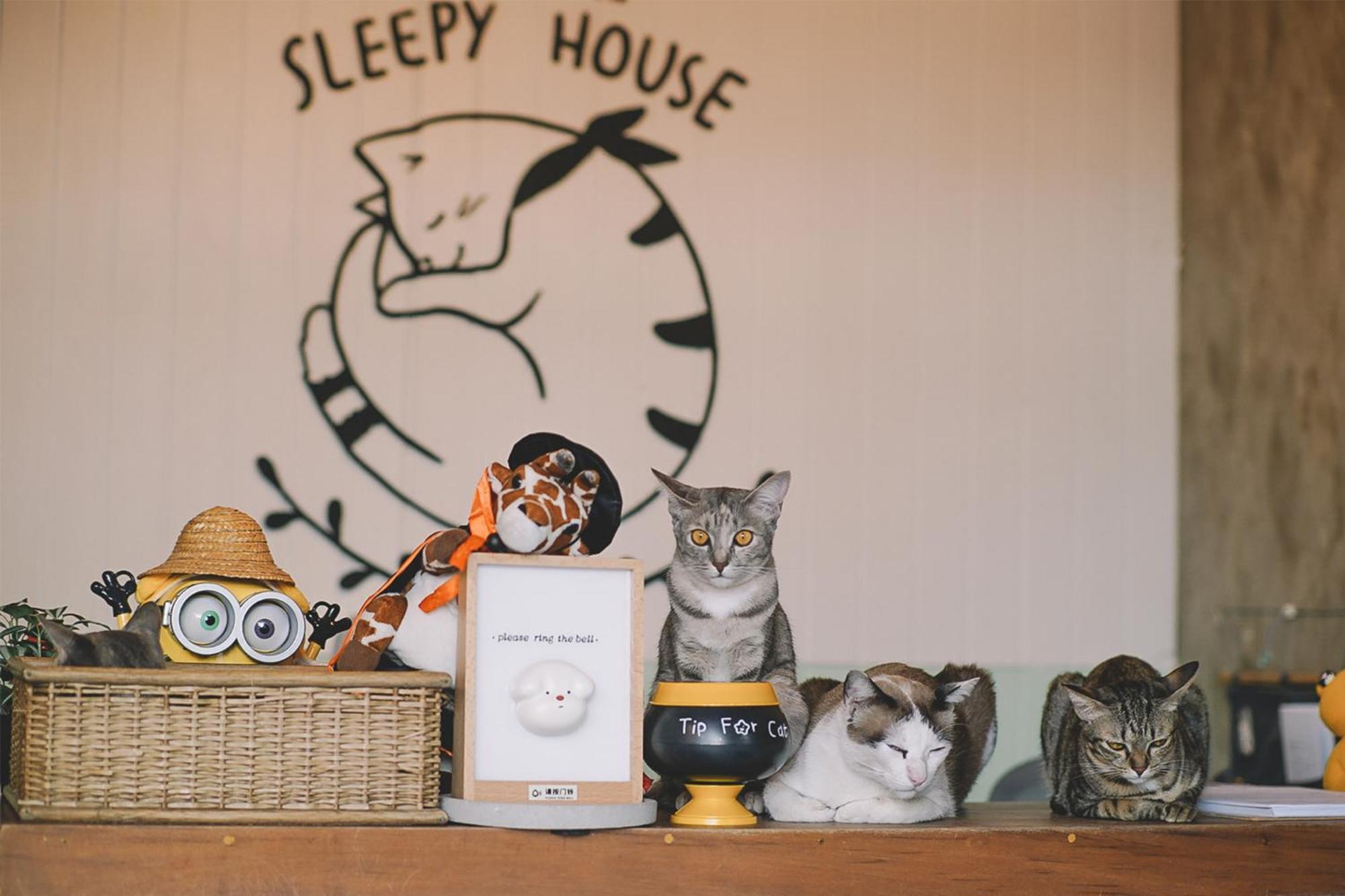 Bed & Breakfast Sleepy House 3*